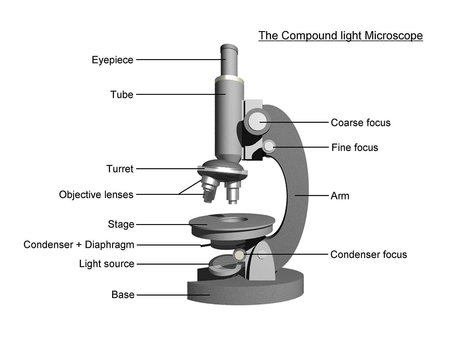 Microscope parts